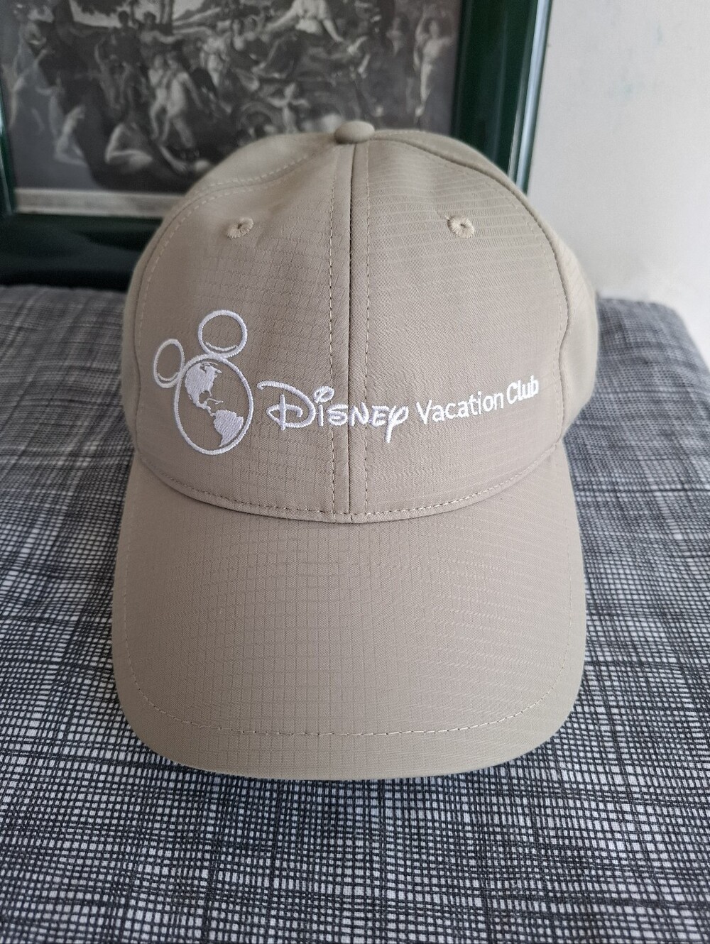 New! Disney Vacation Club